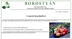 Desktop Screenshot of borostyan.castanea.hu