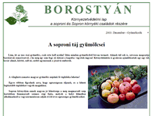 Tablet Screenshot of borostyan.castanea.hu